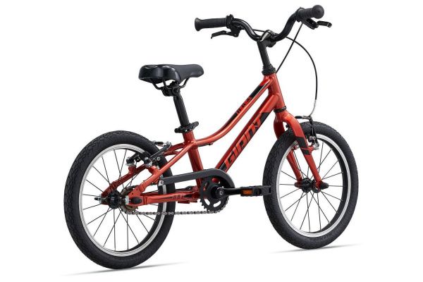 Велосипед Giant ARX 16 F/W (2022) Велосипед Giant ARX 16 F/W (2022)