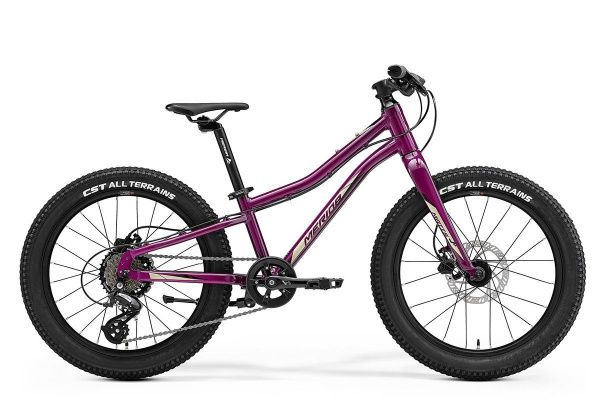 Велосипед Merida MATTS J.20+ (2022) Велосипед Merida MATTS J.20+ (2022)