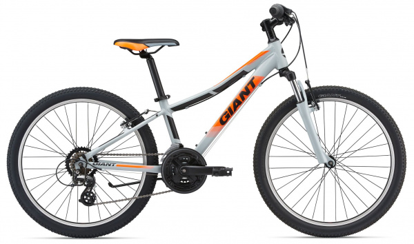 Велосипед Giant XtC Jr 1 24 (2018) Велосипед Giant XtC Jr 1 24 (2018)